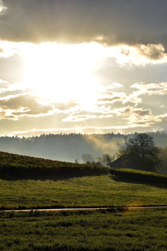 Sky Field Atmosphere Dawn