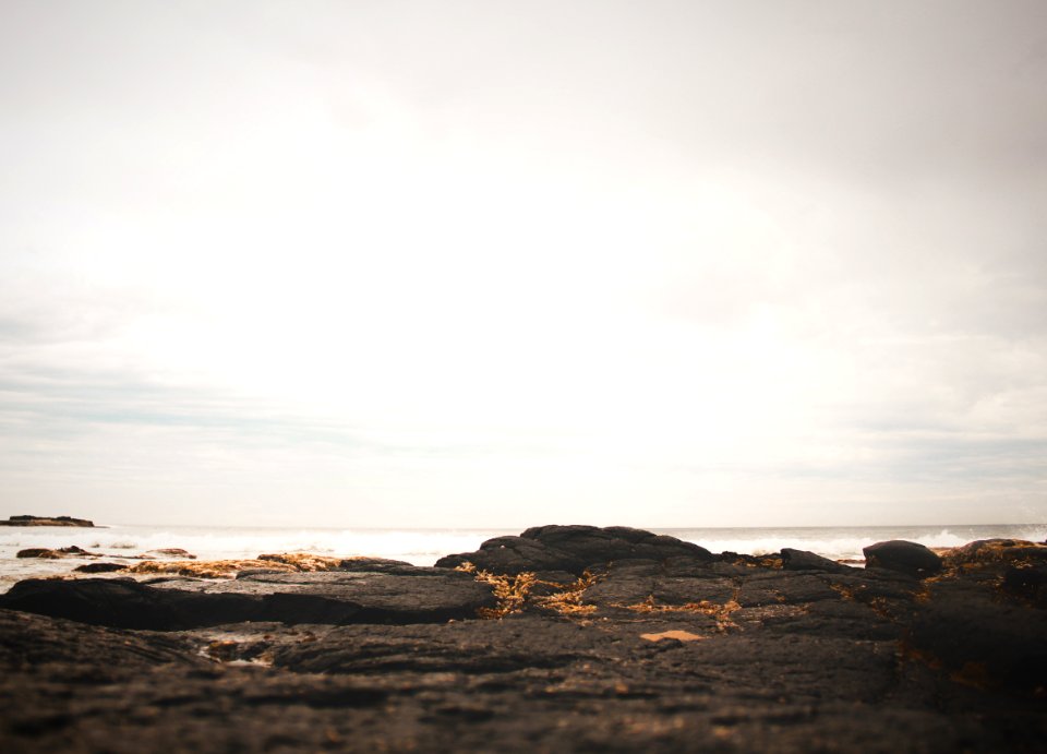 Black Soil And Body Of Water