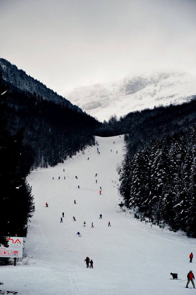 Snowboard And Ski Lanscape