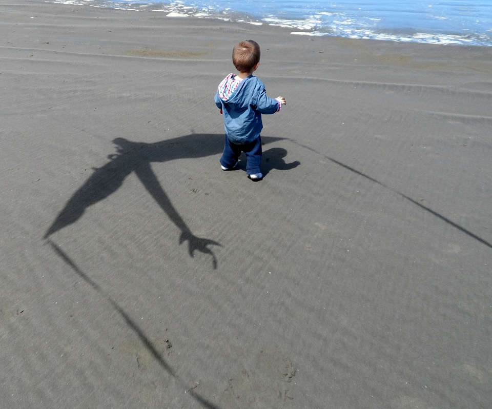 Dragon beach summer