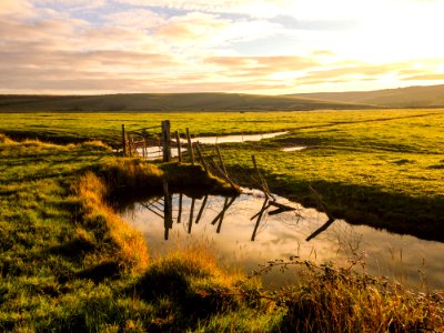 Wetland Reflection Grassland Marsh