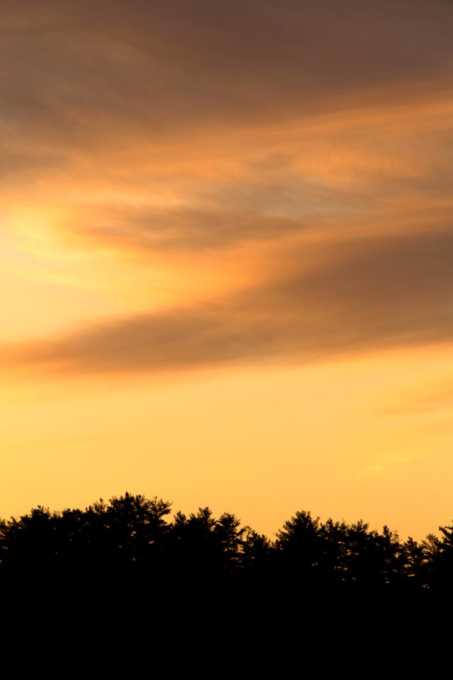 Sky During Sunset photo