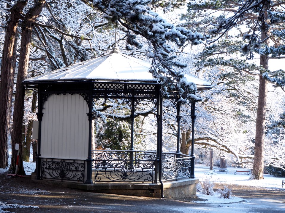 White And Black Canopy On Snow Forest
