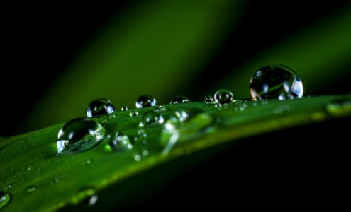 Macro Photography Of Water Drops photo