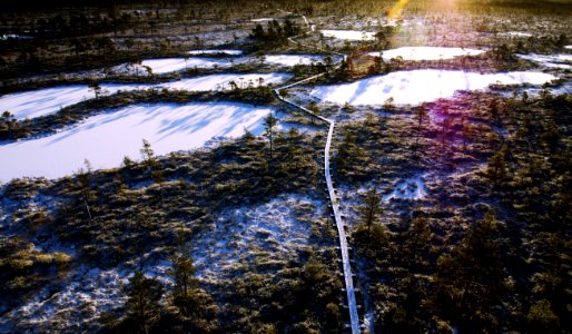 Aerial Photo Of Frozen Lakes Surrounded By Trees photo