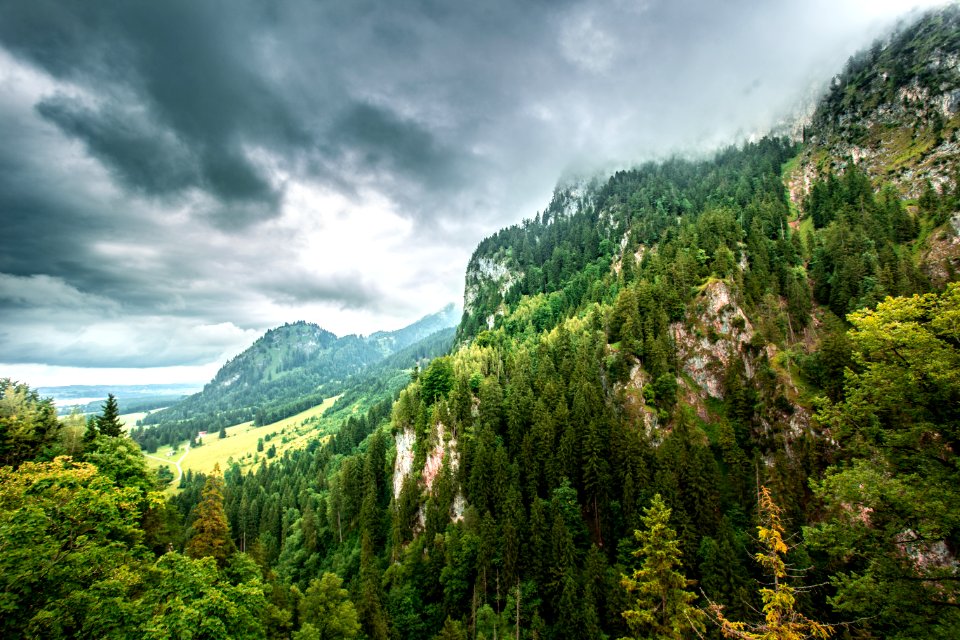 Aerial Photo Of Forest