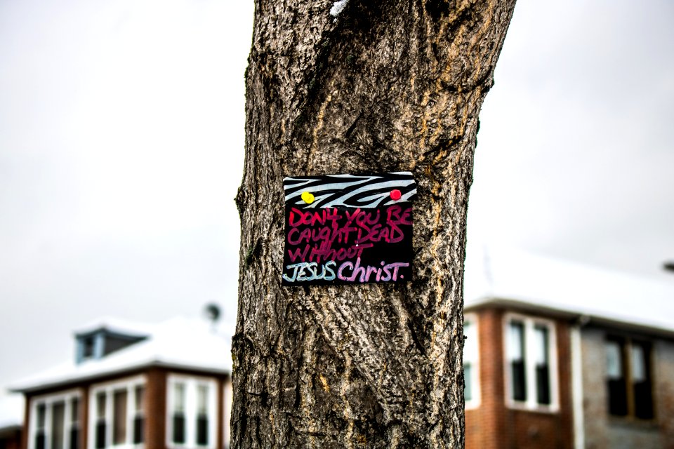 Tree Trunk With Jesus Christ Handwritten Poster