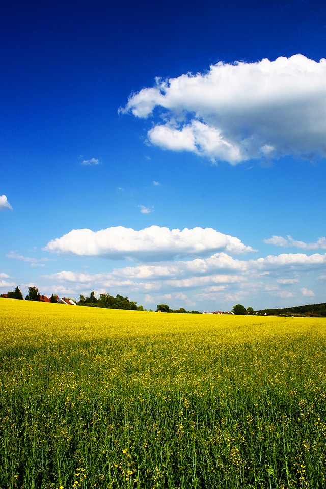 Field cloud clouds