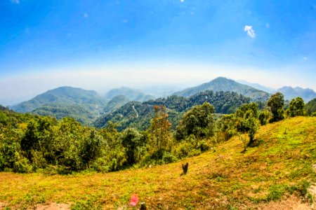 Landscape Photo Of Tall Trees On Mountains At Daytime