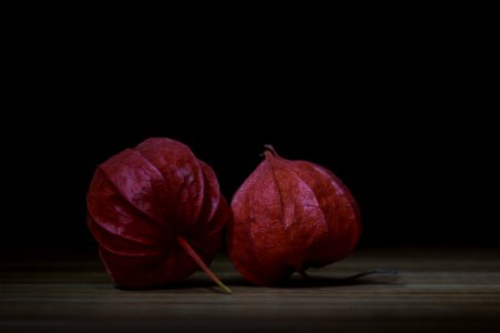 Bladder Cherry Chinese
