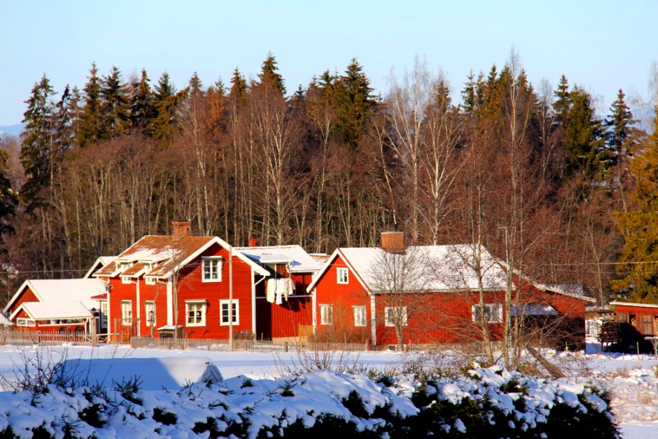 Bungalow Cabin Chalet