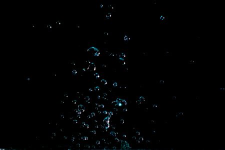 Clear Close-up Dark