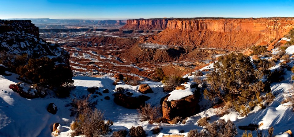 Green Bush On Snowy Mountain photo