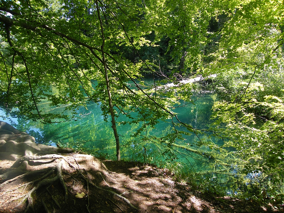 Plittvice lakes magic