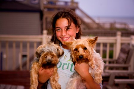 Girl Holding 2 Long Coat Small Dogs Smiling photo