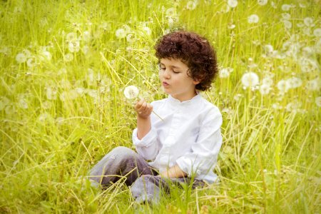 Girl Wearing White Long Sleeve Top Holding White Dandelion Flower During Daytime