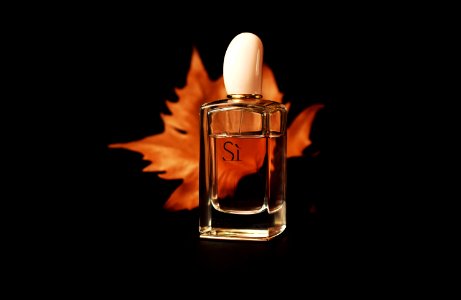 Still Life Photography Perfume Liquid photo