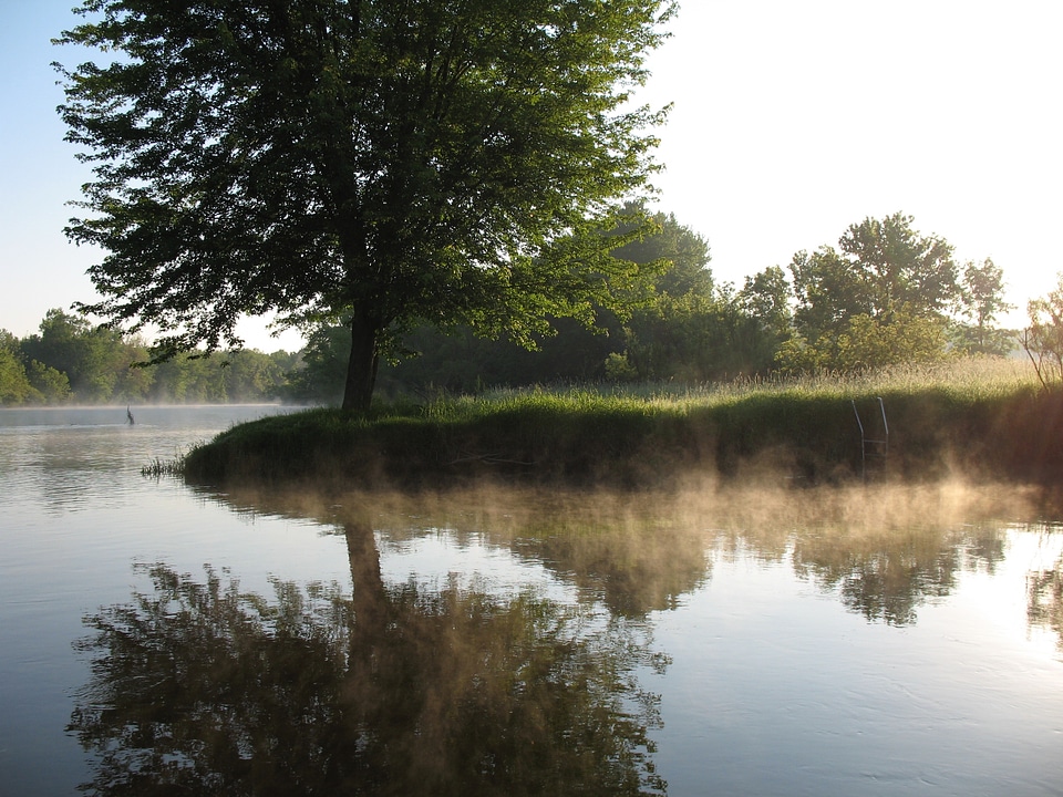 Fog scenic nature