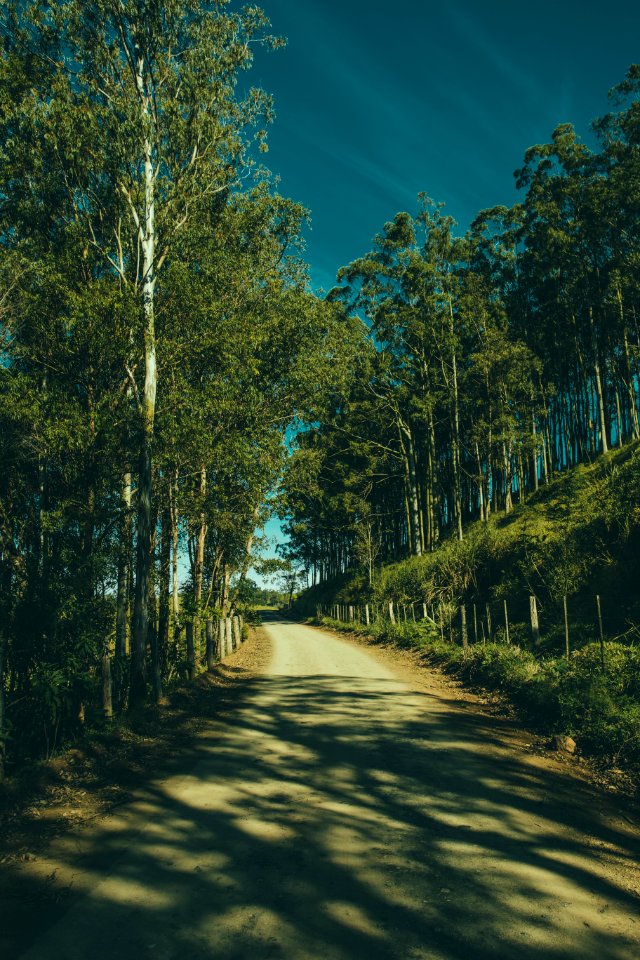 Blue Sky Countryside