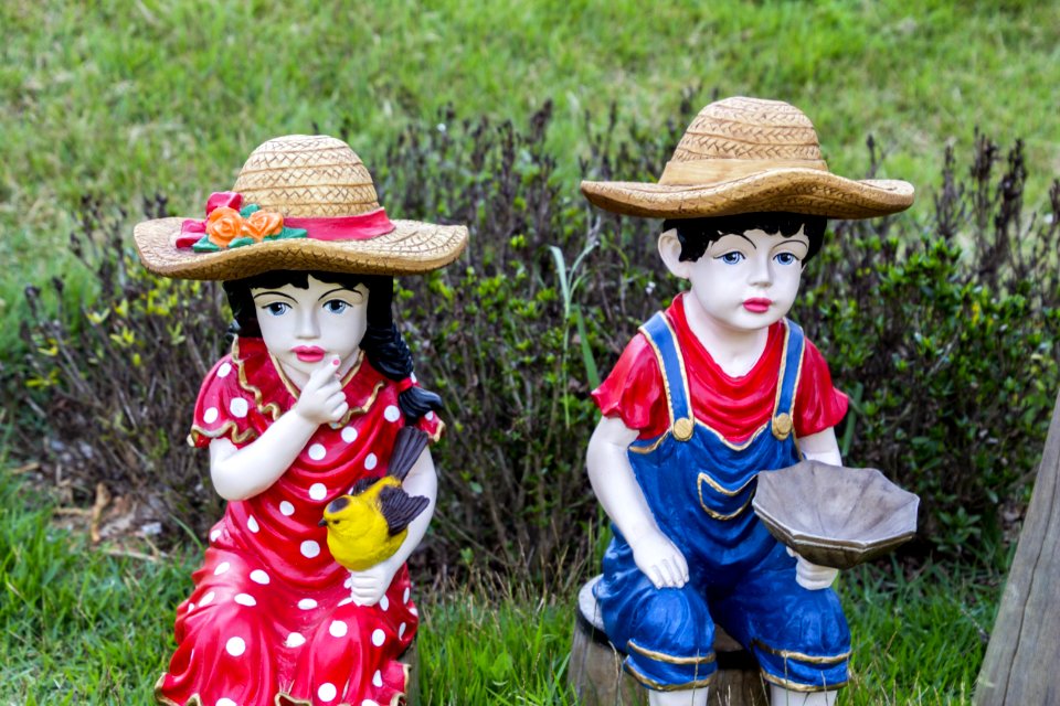 Plant Grass Headgear Garden