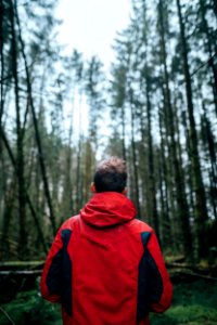 Photography Of Man Wearing Black And Red Jacket Standing In Forest