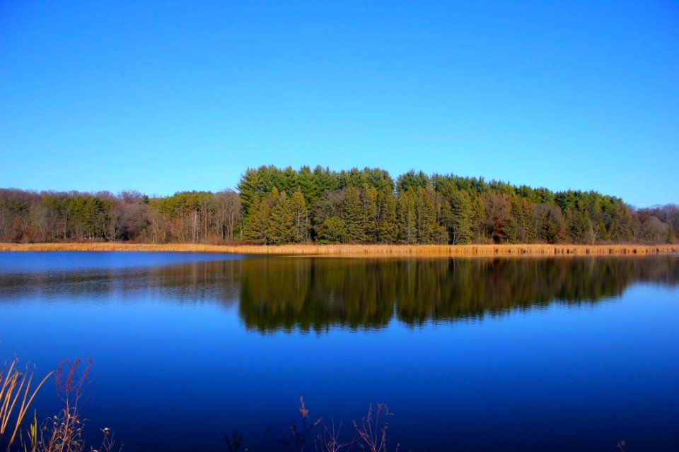 Reflection Water Nature Lake