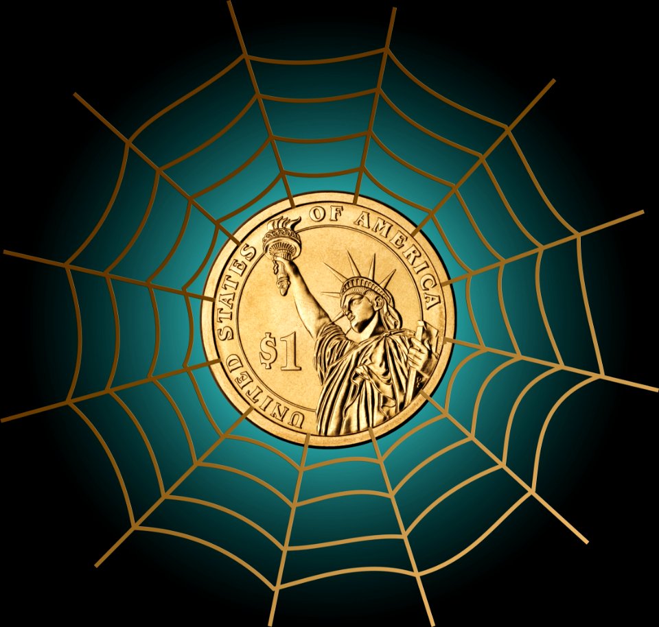 Spider Web Circle Invertebrate Line