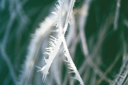 Swirley Bokeh Ice Crystal