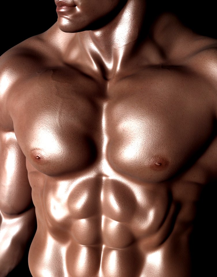 Body Man Muscle Abdomen Bodybuilder