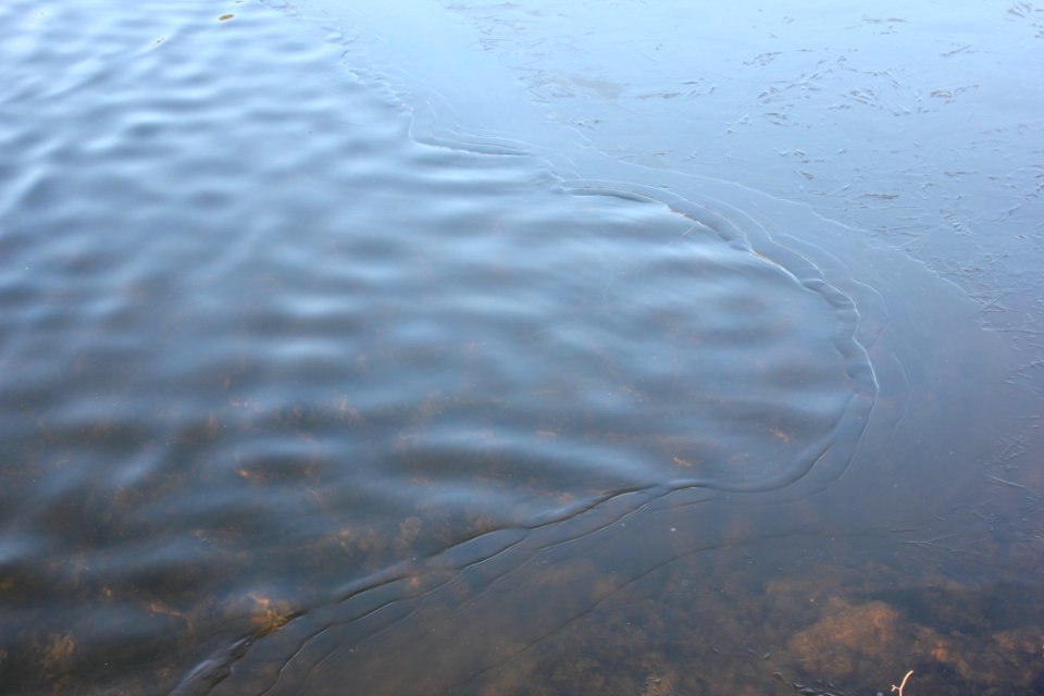 Water Wave Separation