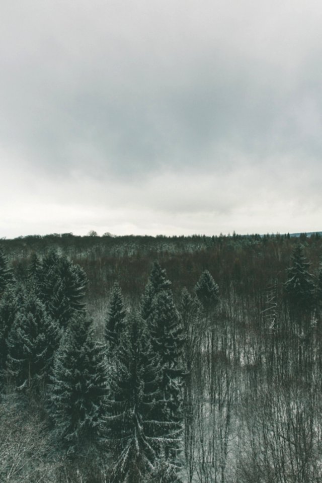Baumwipfelpfad Ebrach kosystem Wald