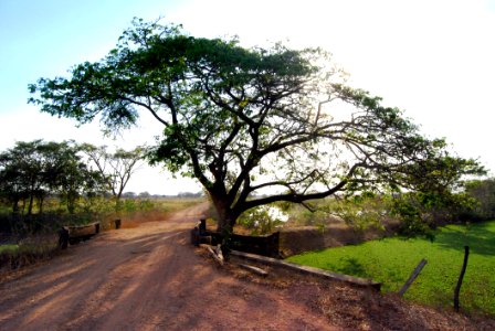 Hato Piñero photo