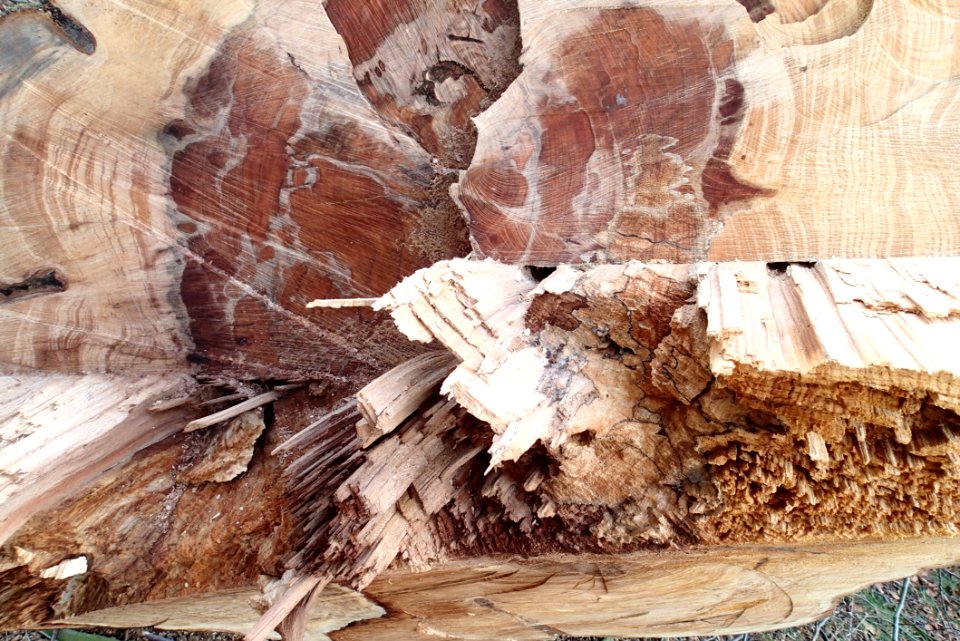 Wood Bedrock Natural Material Art