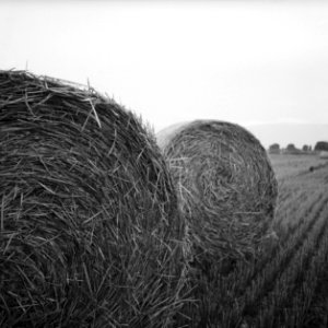 Gray Scale Photo Of Haystack On Field photo