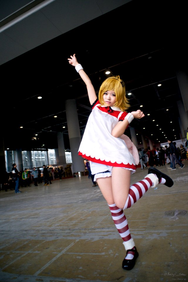 AniEx 2014