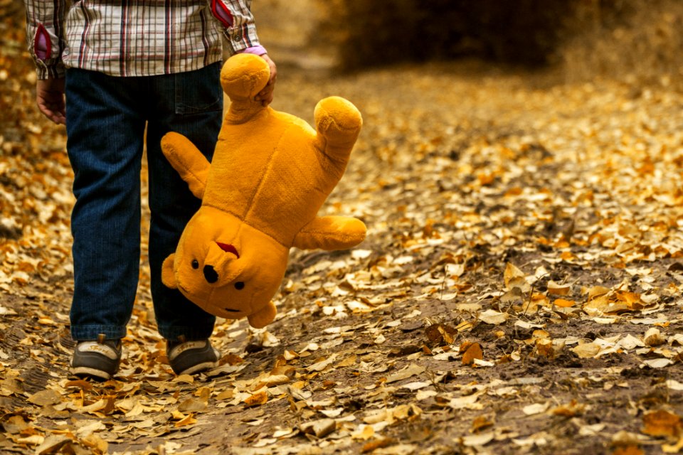 Yellow Leaf Autumn Grass