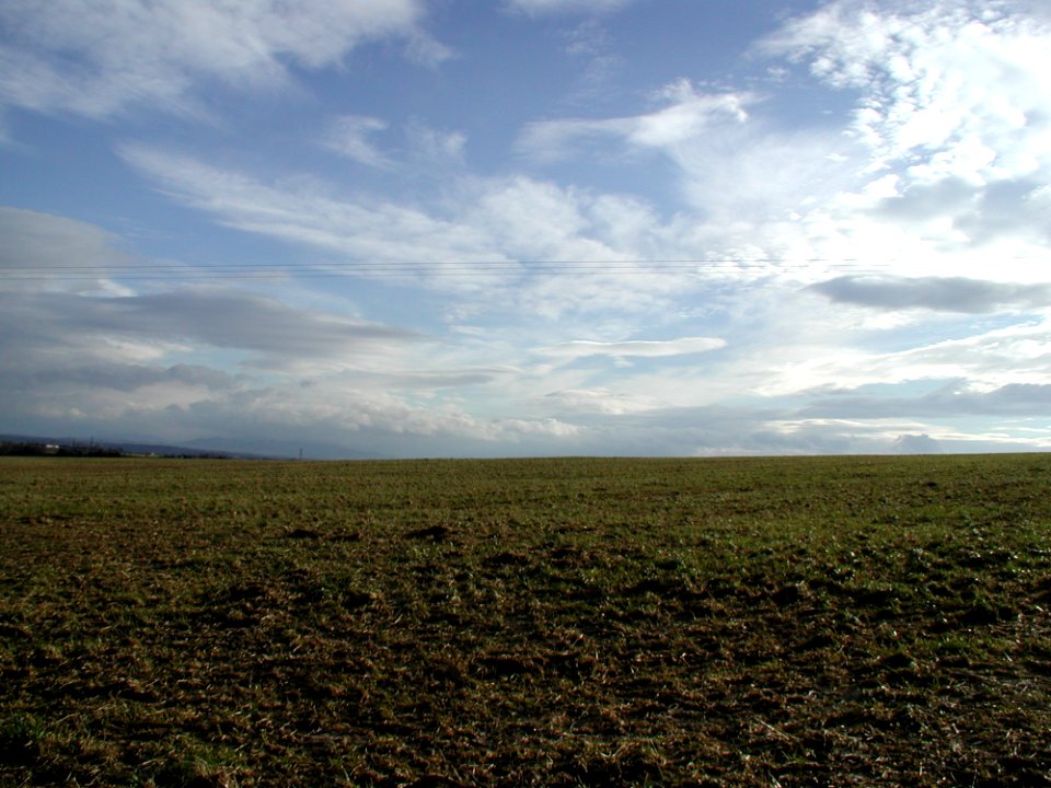 Field 1