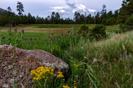 Monsoon Season Explorations
