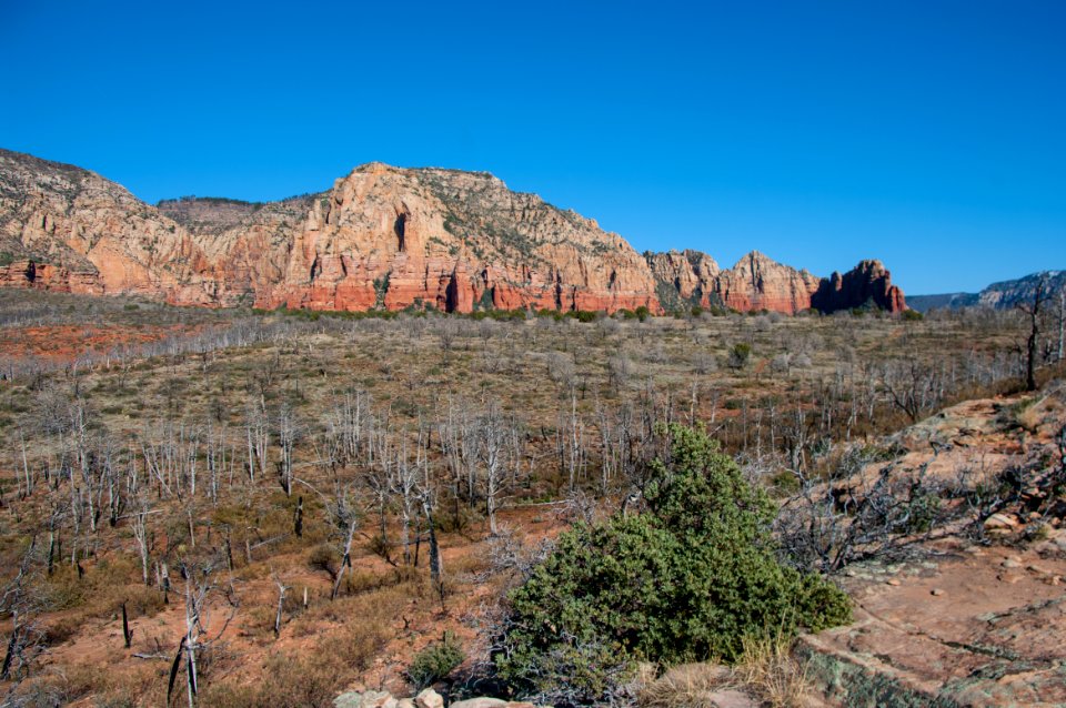 Brins Mesa No 119