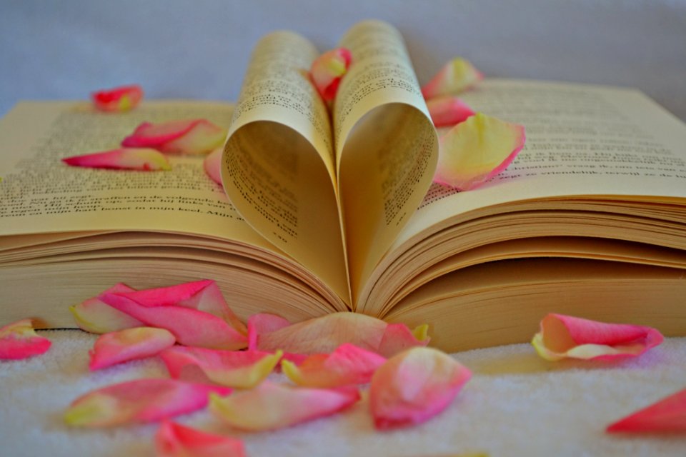 Book With Rose Petals