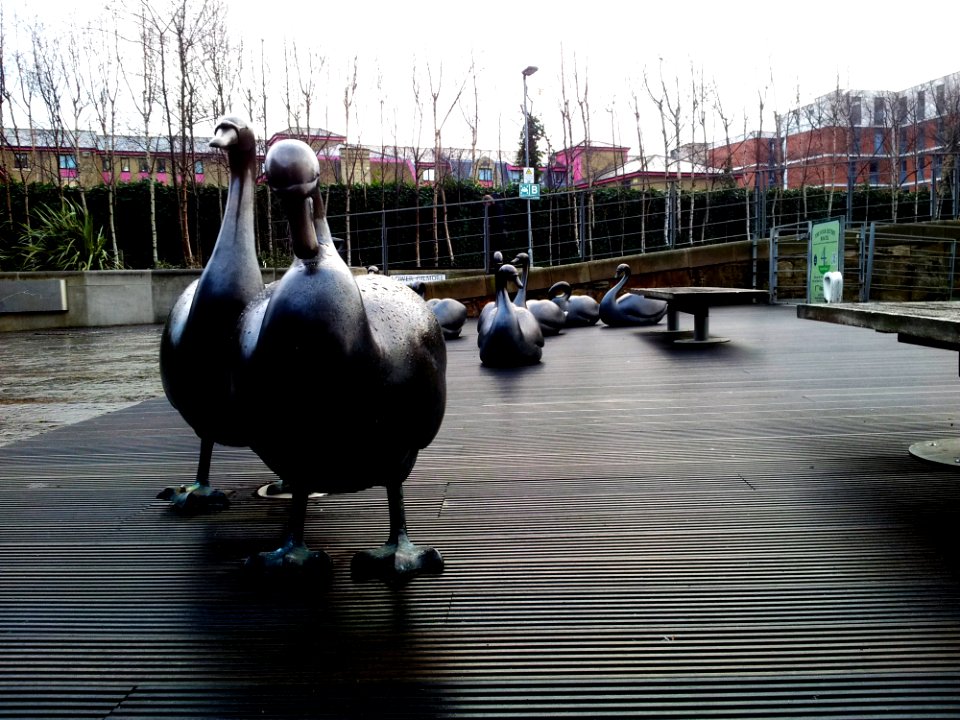 Statues Of Ducks On Pier