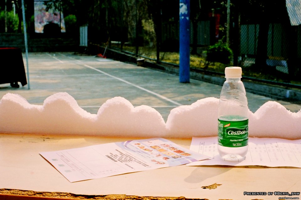 Paper Paper Bottle