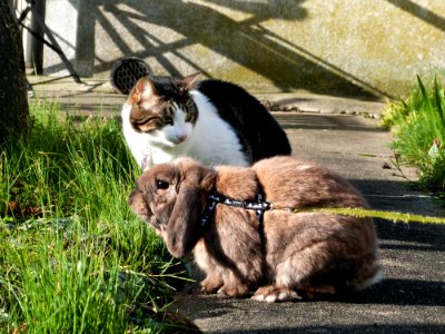 The Duo Outside