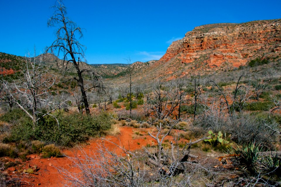 Jacks Canyon Trail No 55
