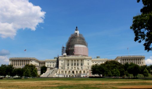 The Capitol Building In Irons