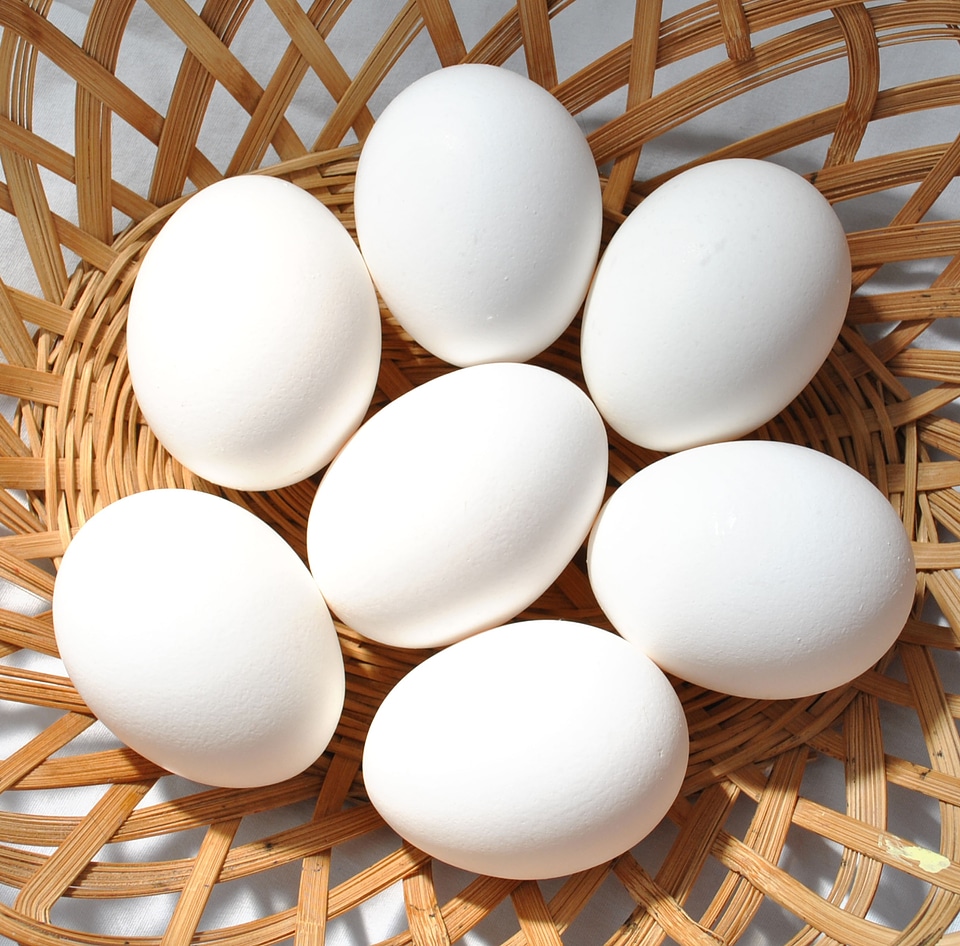 Breakfast oval cooking photo