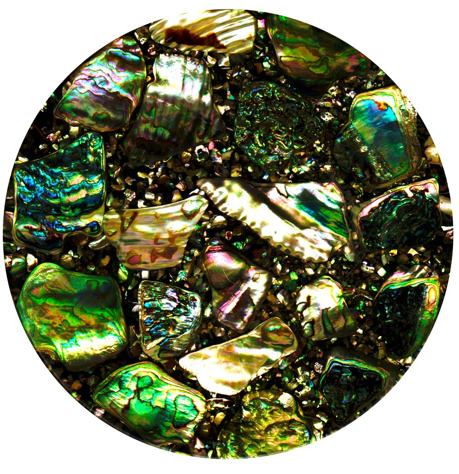 Abalone Shell Pendant 2