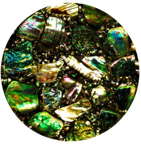 Abalone Shell Pendant 2
