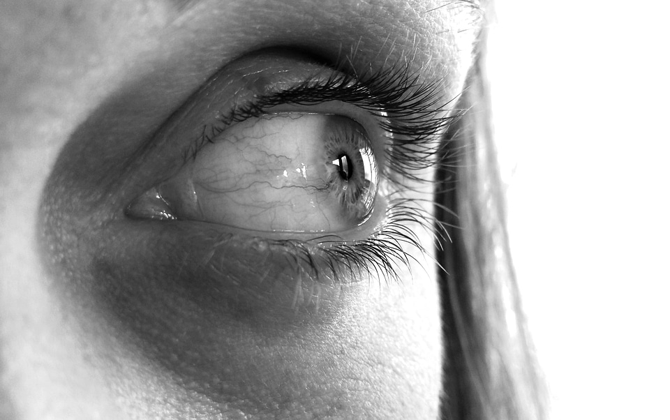 Light eyelash retina