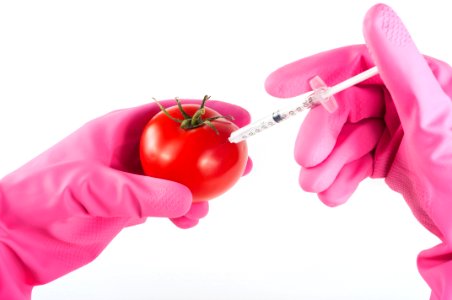 Gloved Hands Inject A Tomato photo